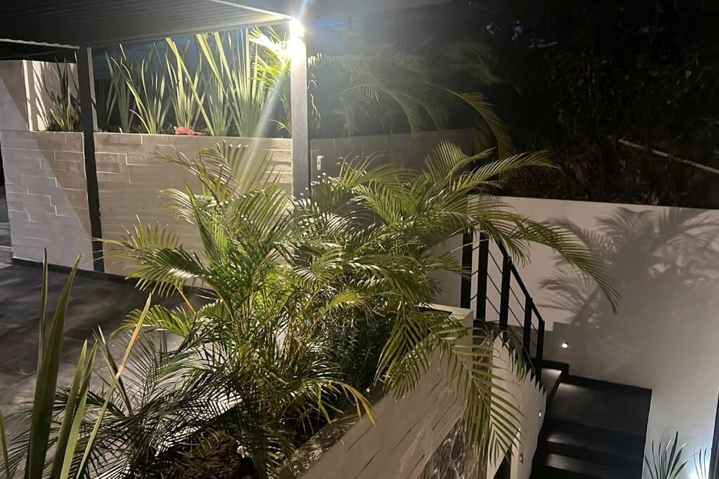 Residencia Corinto La Cima Frac Burgos Bugambilias Villa Temixco Eksteriør billede